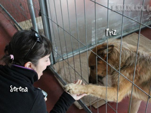 Friz ringrazia Serena